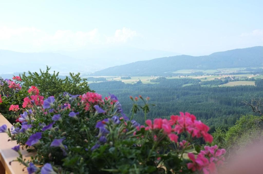 Вилла Hochfelner-Prutti - Stockerhof Sankt Marein bei Knittelfeld Номер фото